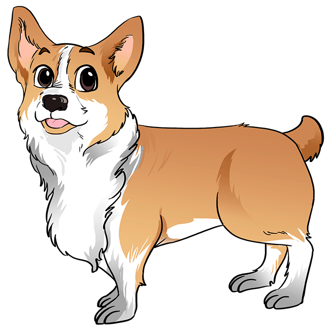 ve-cho-corgi