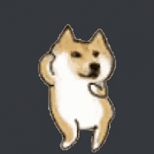 Gif chó Shiba nhảy