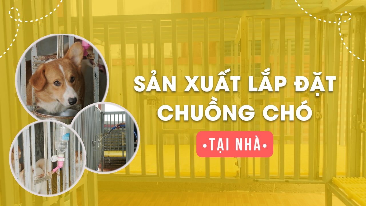 Thiết kế chuồng trại nuôi chó - Trại chó mèo cảnh MeowGo Pet ...