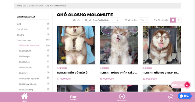 Thông tin về giá chó Alaska tại Mật Pet Family Thông tin về giá chó Alaska tại Mật Pet Family
